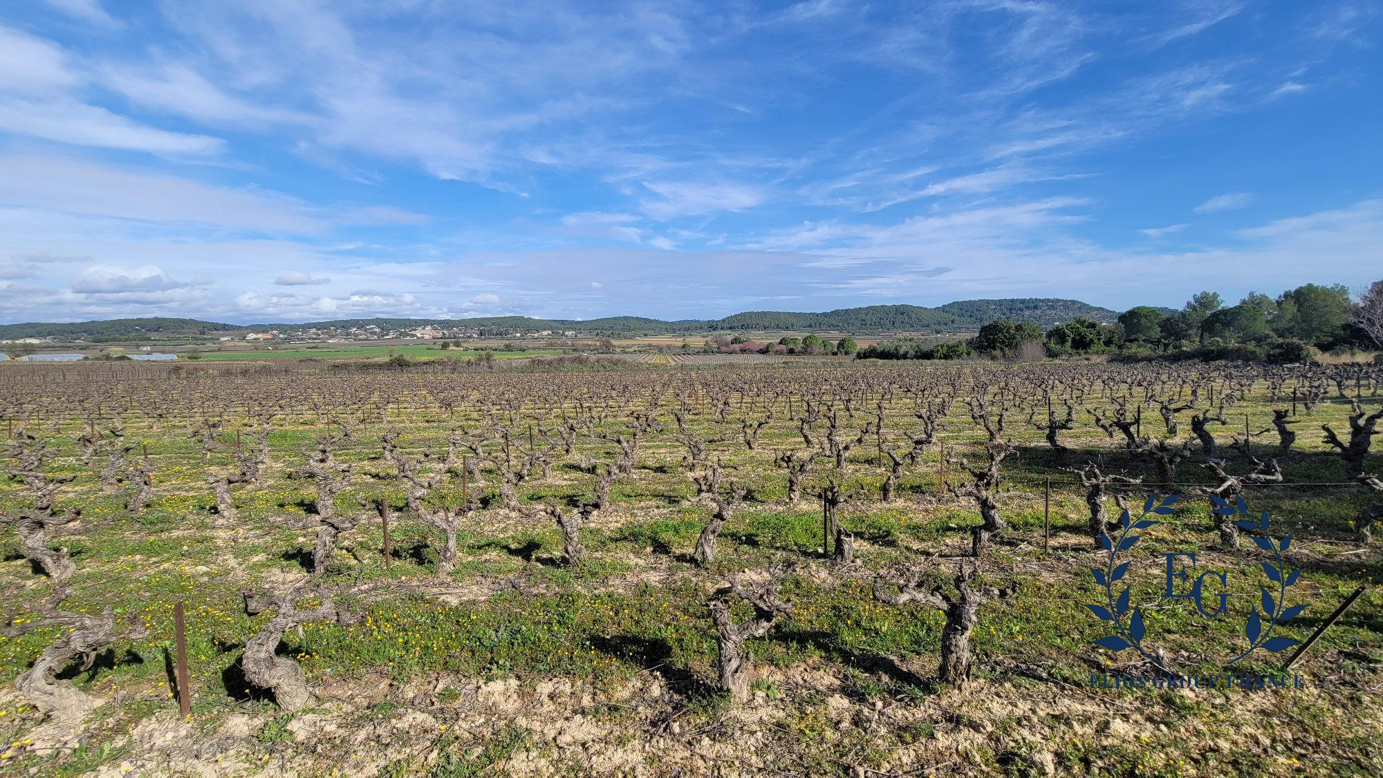 TERRAIN AGRICOLE - VIGNES-nobilis-immobilier-image1